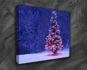 Choose soothing canvas pictures for your living room for peace and har